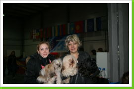 Klicken Sie auf das Bild, um es zu vergrößern