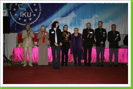 Klicken Sie auf das Bild, um es zu vergrößern