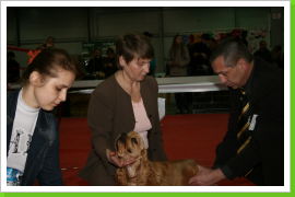 Klicken Sie auf das Bild, um es zu vergrößern