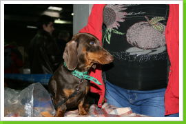 Klicken Sie auf das Bild, um es zu vergrößern