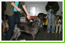 Klicken Sie auf das Bild, um es zu vergrößern