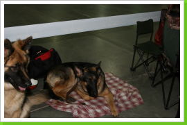 Klicken Sie auf das Bild, um es zu vergrößern