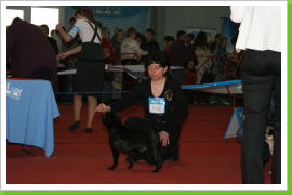 Klicken Sie auf das Bild, um es zu vergrößern