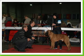 Klicken Sie auf das Bild, um es zu vergrößern