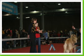 Klicken Sie auf das Bild, um es zu vergrößern