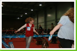 Klicken Sie auf das Bild, um es zu vergrößern