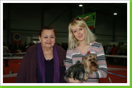 Klicken Sie auf das Bild, um es zu vergrößern