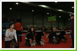 Klicken Sie auf das Bild, um es zu vergrößern