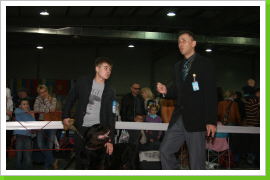 Klicken Sie auf das Bild, um es zu vergrößern