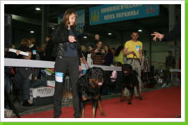 Klicken Sie auf das Bild, um es zu vergrößern