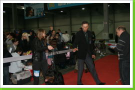 Klicken Sie auf das Bild, um es zu vergrößern