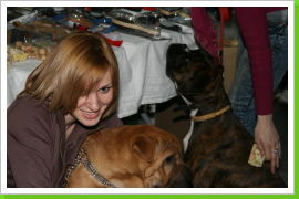 Klicken Sie auf das Bild, um es zu vergrößern