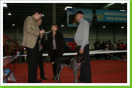 Klicken Sie auf das Bild, um es zu vergrößern