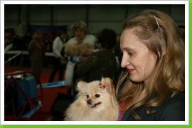 Klicken Sie auf das Bild, um es zu vergrößern