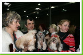 Klicken Sie auf das Bild, um es zu vergrößern