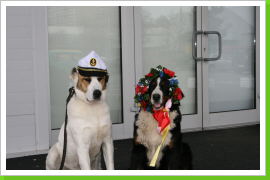 Klicken Sie auf das Bild, um es zu vergrößern