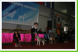 Klicken Sie auf das Bild, um es zu vergrößern