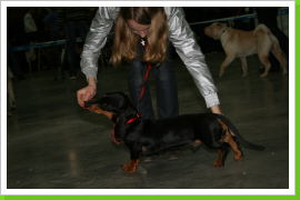 Klicken Sie auf das Bild, um es zu vergrößern