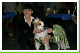 Klicken Sie auf das Bild, um es zu vergrößern