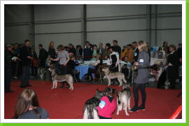 Klicken Sie auf das Bild, um es zu vergrößern