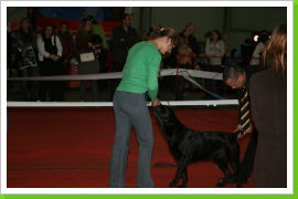 Klicken Sie auf das Bild, um es zu vergrößern