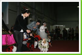 Klicken Sie auf das Bild, um es zu vergrößern