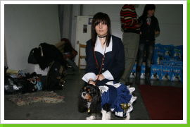 Klicken Sie auf das Bild, um es zu vergrößern