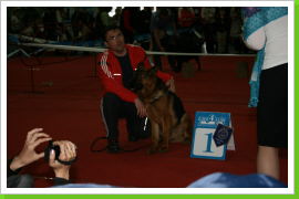 Klicken Sie auf das Bild, um es zu vergrößern