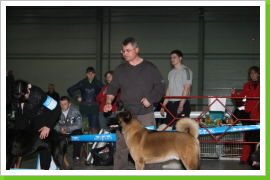 Klicken Sie auf das Bild, um es zu vergrößern