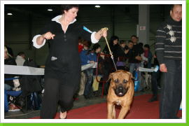 Klicken Sie auf das Bild, um es zu vergrößern