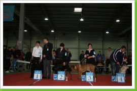 Klicken Sie auf das Bild, um es zu vergrößern