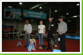 Klicken Sie auf das Bild, um es zu vergrößern