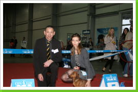 Klicken Sie auf das Bild, um es zu vergrößern