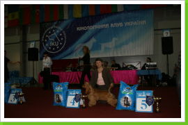 Klicken Sie auf das Bild, um es zu vergrößern