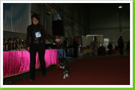 Klicken Sie auf das Bild, um es zu vergrößern