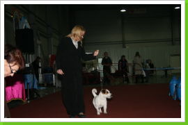 Klicken Sie auf das Bild, um es zu vergrößern