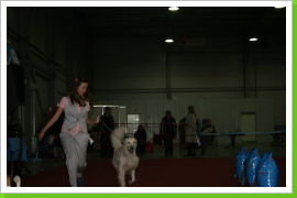 Klicken Sie auf das Bild, um es zu vergrößern