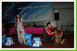 Klicken Sie auf das Bild, um es zu vergrößern