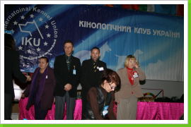 Klicken Sie auf das Bild, um es zu vergrößern