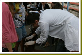 Klicken Sie auf das Bild, um es zu vergrößern