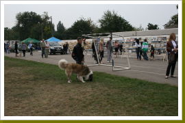 Klicken Sie auf das Bild, um es zu vergrößern