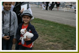 Klicken Sie auf das Bild, um es zu vergrößern