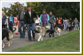 Klicken Sie auf das Bild, um es zu vergrößern