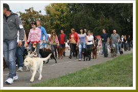 Klicken Sie auf das Bild, um es zu vergrößern