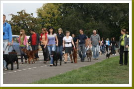 Klicken Sie auf das Bild, um es zu vergrößern