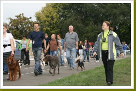 Klicken Sie auf das Bild, um es zu vergrößern