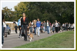 Klicken Sie auf das Bild, um es zu vergrößern