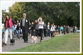 Klicken Sie auf das Bild, um es zu vergrößern