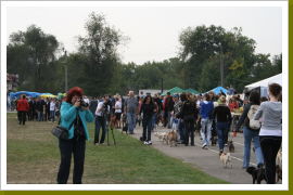 Klicken Sie auf das Bild, um es zu vergrößern