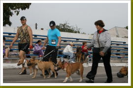 Klicken Sie auf das Bild, um es zu vergrößern